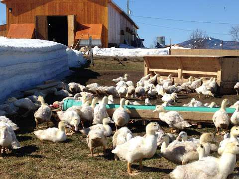 Ferme Les Canardises